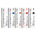 Rayhong car touch-up paint pen for scratch repair