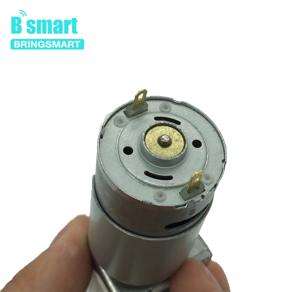DC 12V/24V Worm Gear Reduction Motor, Self-Locking Gearbox