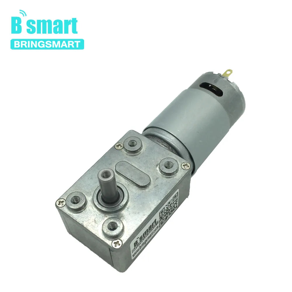 DC 12V/24V Worm Gear Reduction Motor, Self-Locking Gearbox