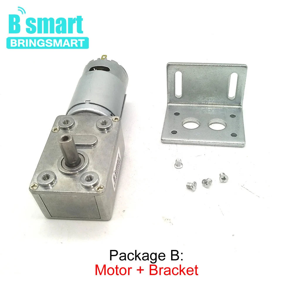 DC 12V/24V Worm Gear Reduction Motor, Self-Locking Gearbox
