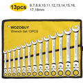Ratcheting Combination Wrench Set, 6-22mm Metric Flex Head Ratcheting Wrench, Chrome Vanadium Steel Spanner with Bag