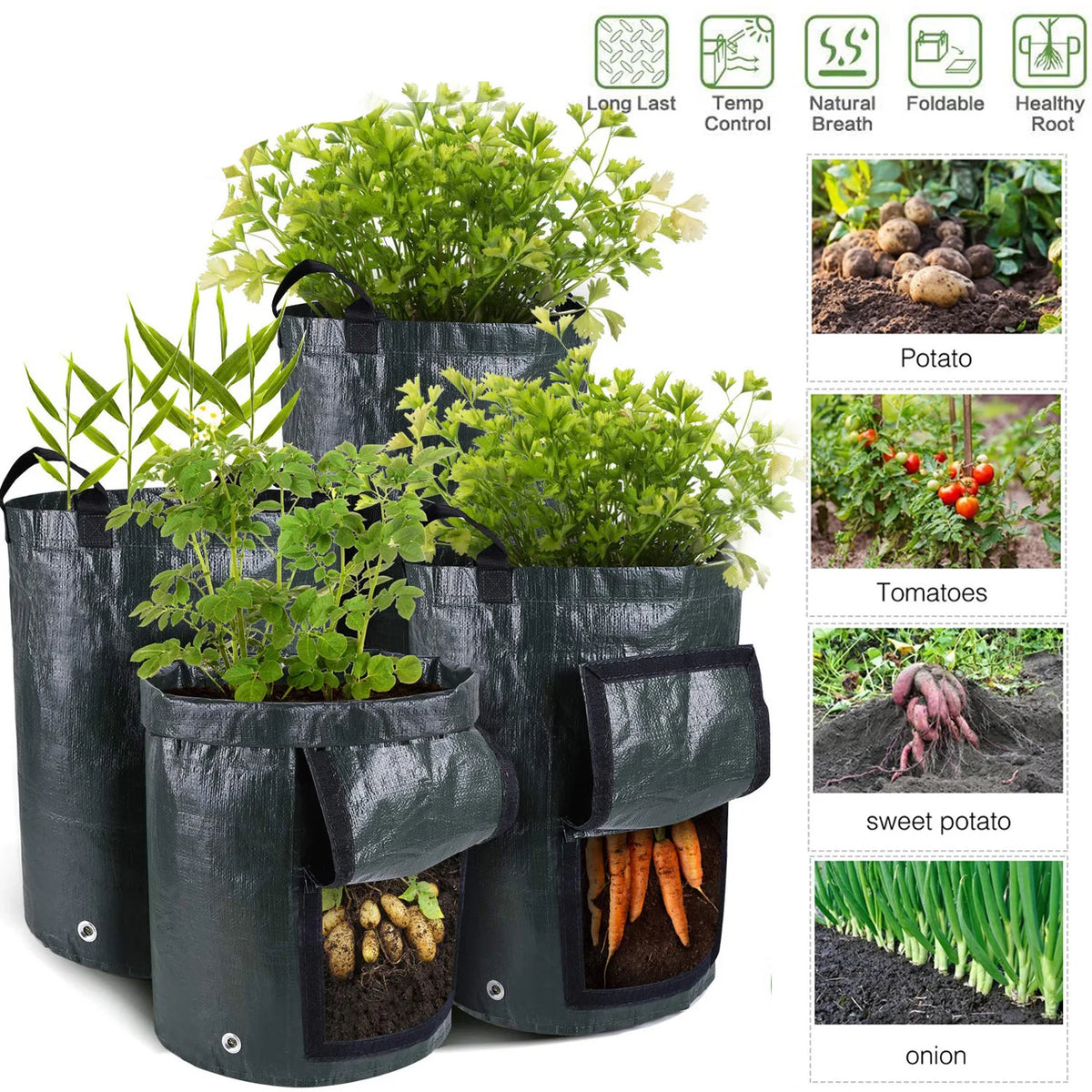 Potato & Vegetable Grow Bags, 3/5/10 Gallon