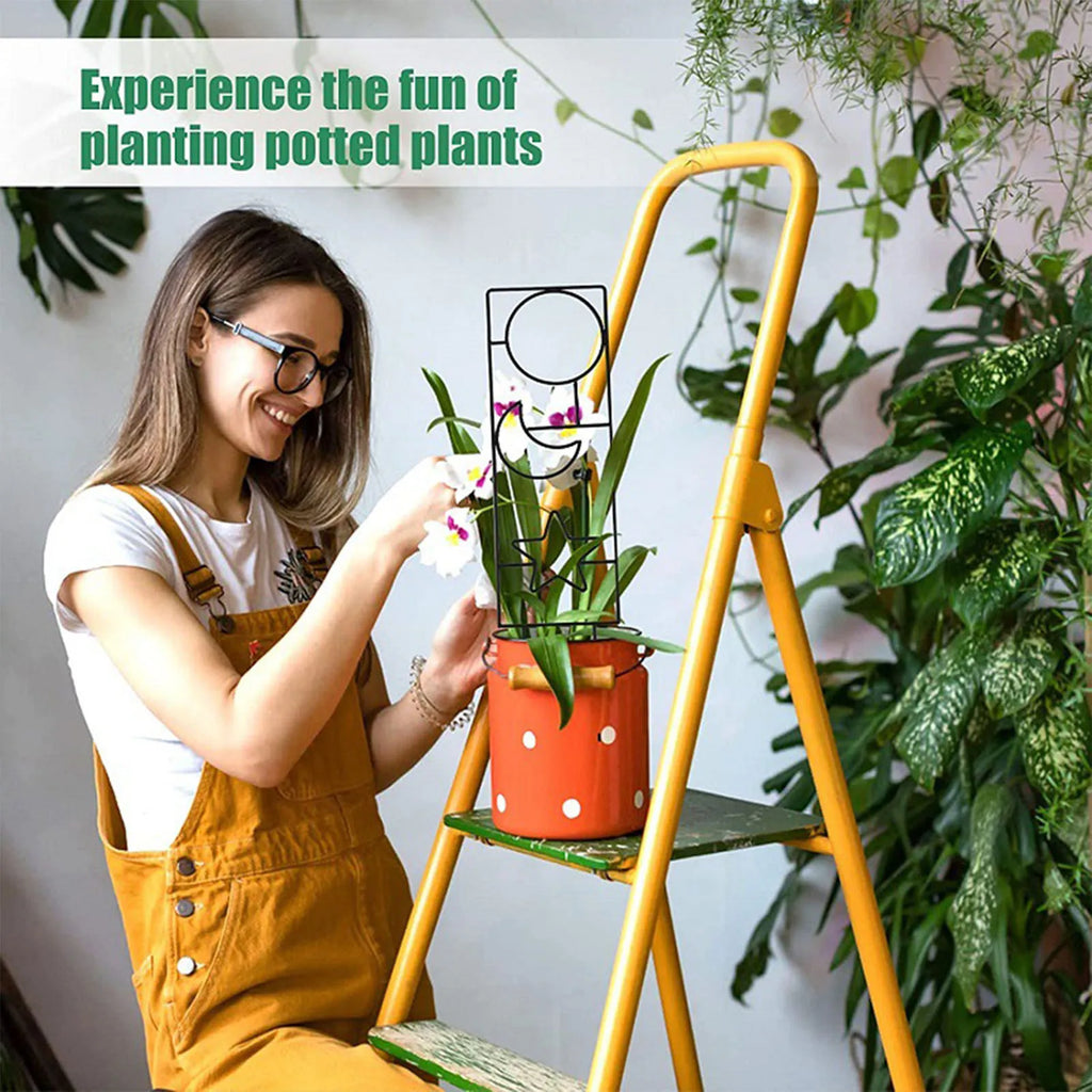 Iron Climbing Plant Trellis – Garden Support Stake Stand