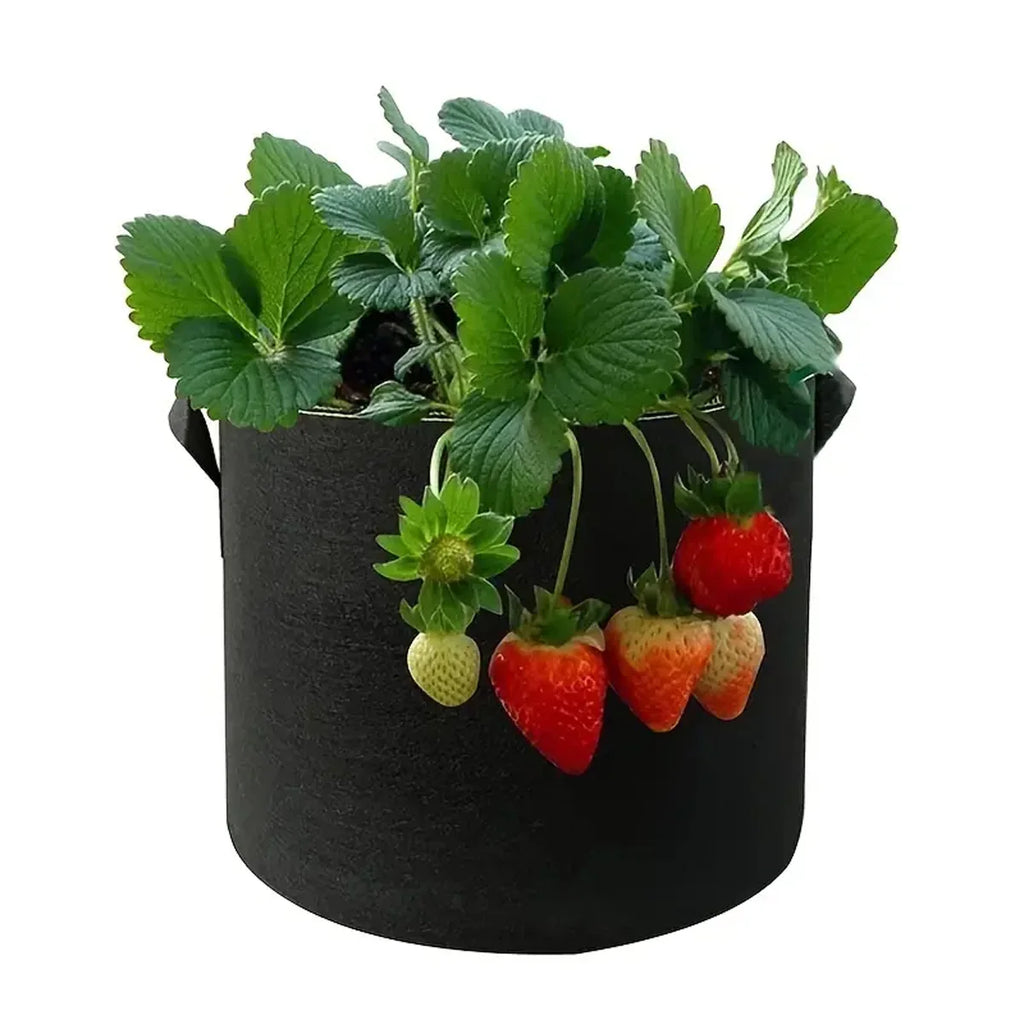 Felt Grow Bags 5/10/15 Gallon – Thickened Garden Pots