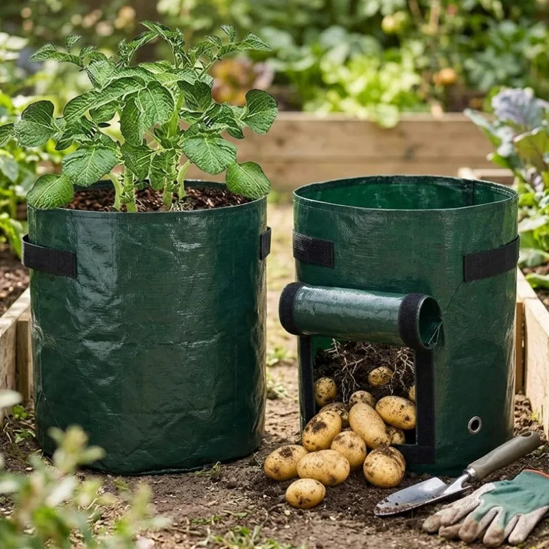 Potato Grow Bags 7/10 Gallon with Flap Window & Handles