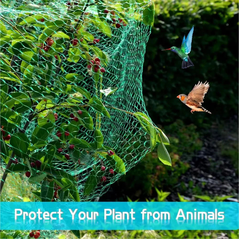 Bird Netting for Garden – Protect Plants & Fruit Trees