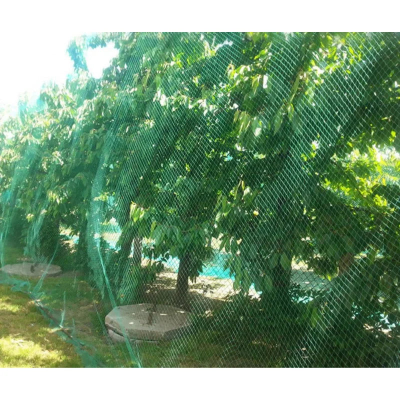 Trellis Grid Garden Netting – Pest & Bird Fencing Net