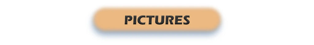 Power Window Switch for Chevy Silverado/GMC Sierra 1500-3500 HD - image 11