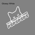 Tell Your Cat I Said PSPSPS Vinyl Car Decal, Waterproof - view 7