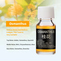 Natural Car Essential Oil Air Freshener Refill - image 7
