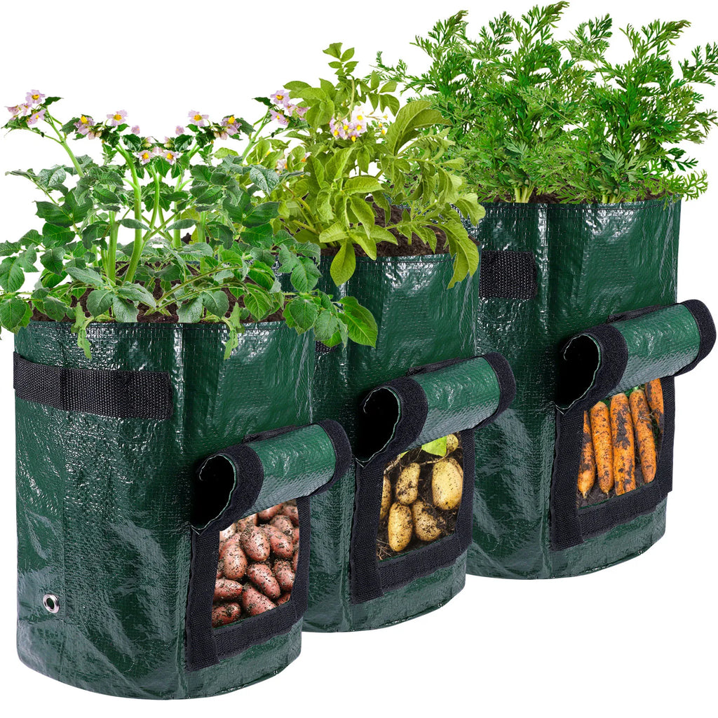 Potato & Vegetable Grow Bags, 3/5/10 Gallon