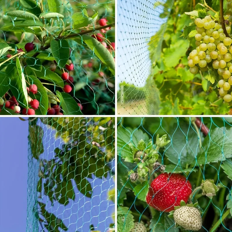 Garden Netting for Bird Protection – Vegetables & Fruit Trees