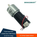 12V/24V DC Gear Motor, High Torque, Self-Locking