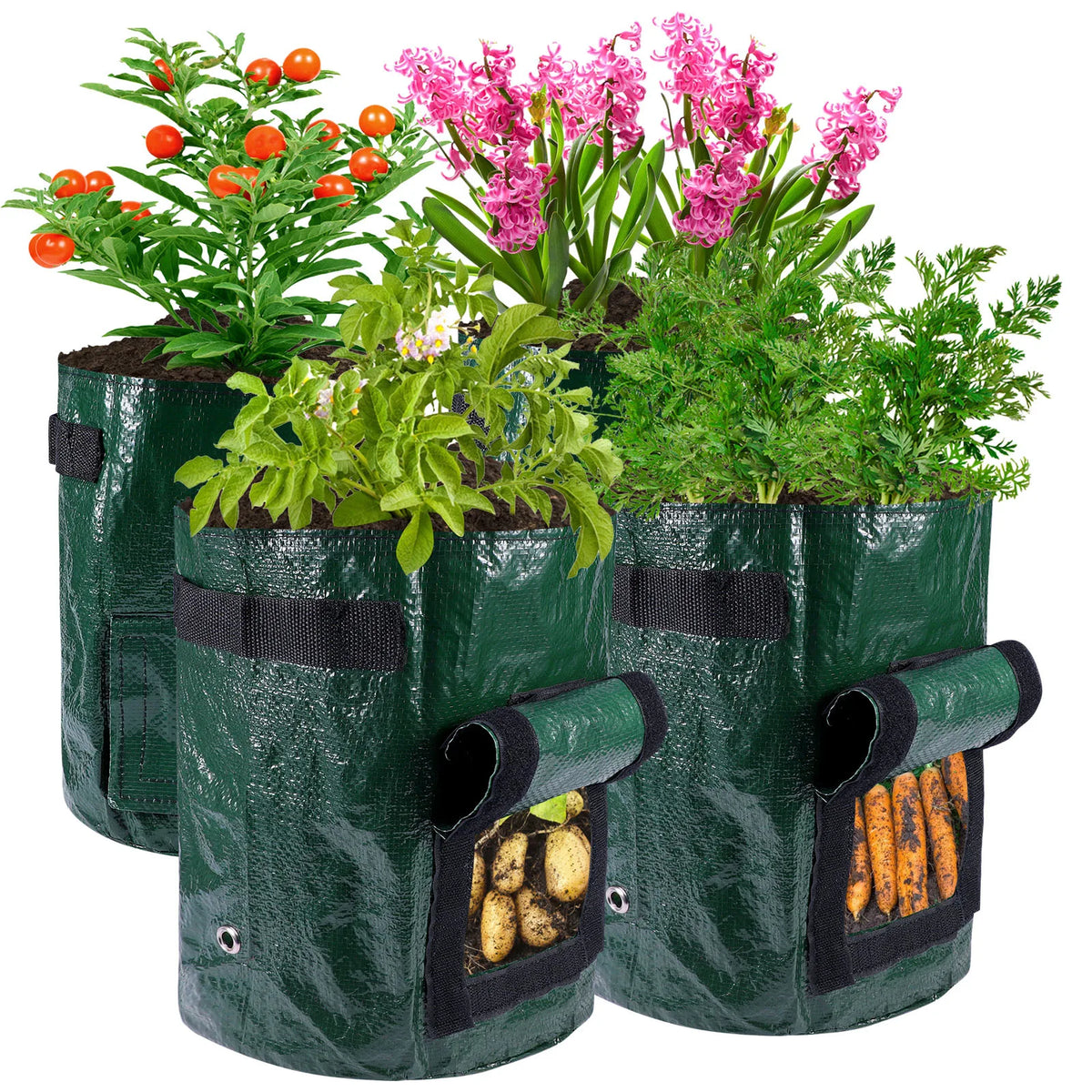 Potato & Vegetable Grow Bags, 3/5/10 Gallon