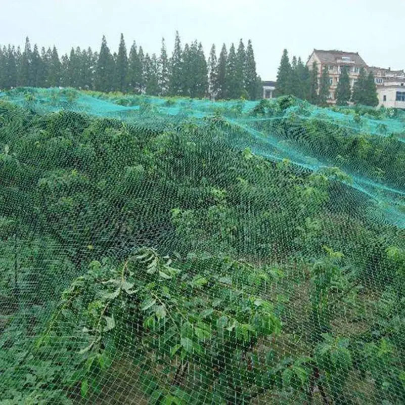Nylon Anti-Bird Protection Net for Gardens & Ponds - image 5