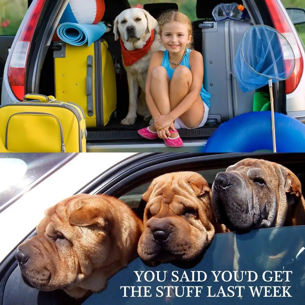 Pet Dog Cat Car Seat Dog Car Seat Belt Safety Protector Travel Pets Accessories Dog Leash Collar Breakaway Solid Car Harness