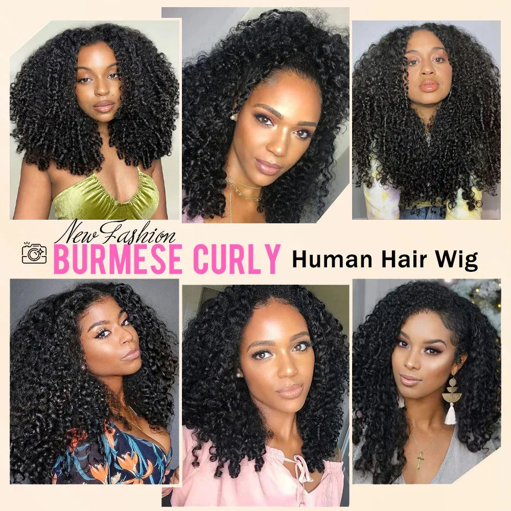 Burmese Curly Human Hair Wig, 13x4 Transparent Lace Front, Pre-Plucked