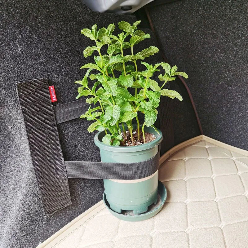 Elastic Trunk Straps and Mesh Net for Fire Extinguisher and Small Items