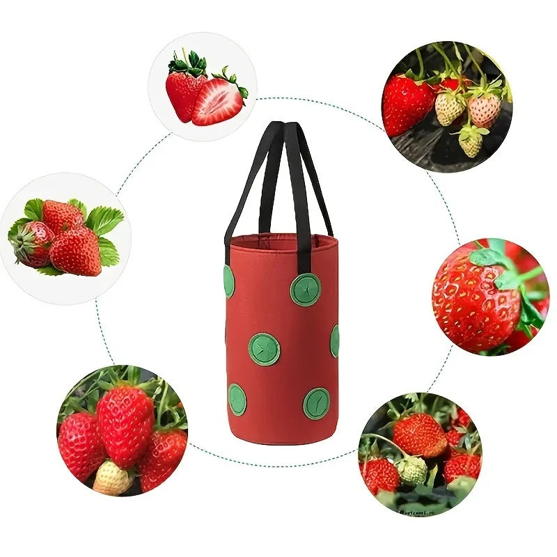 13-Hole Felt Hanging Planter Grow Bag – Tomato & Strawberry